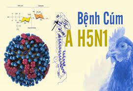 Khuyến cáo phòng chống cúm gia cầm A(H5N1)
